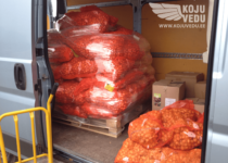 Kaubavedu, veoteenus, transporditeenus, kolimisteenus, kolimine (1)