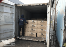 Kaubavedu, veoteenus, transporditeenus, kolimisteenus, kolimine (1)