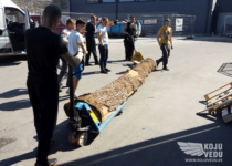 Kolimisspetsialisti ja kolija rent, kolijad, kolijad, kolimismees, kolimisteenus, kolimine