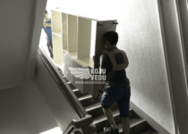 Kolimisspetsialisti ja kolija rent, kolijad, kolijad, kolimismees, kolimisteenus, kolimine